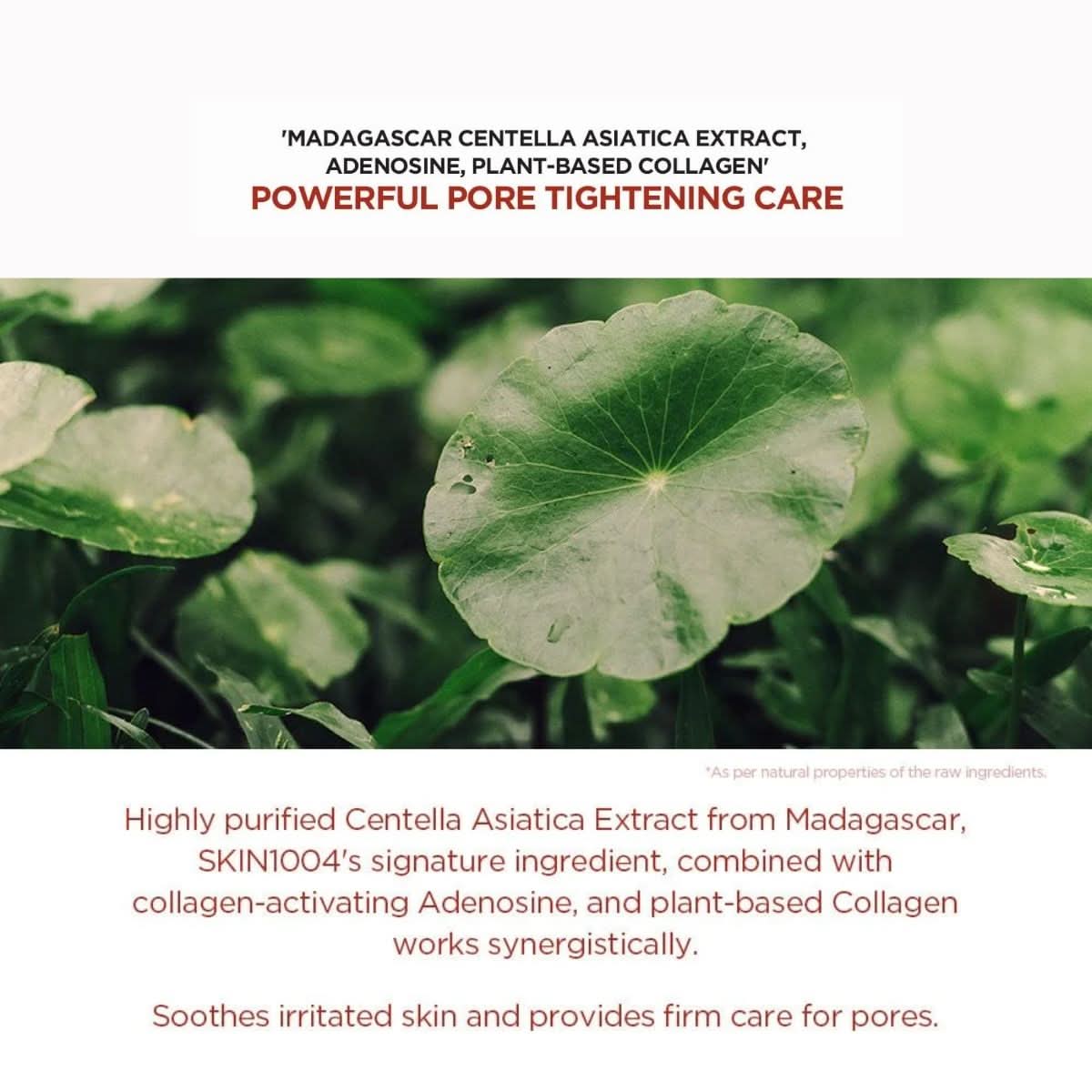 SKIN1004 Madagascar Centella Poremizing Clarifying Mask Korean Skincare | VELVET GLOW