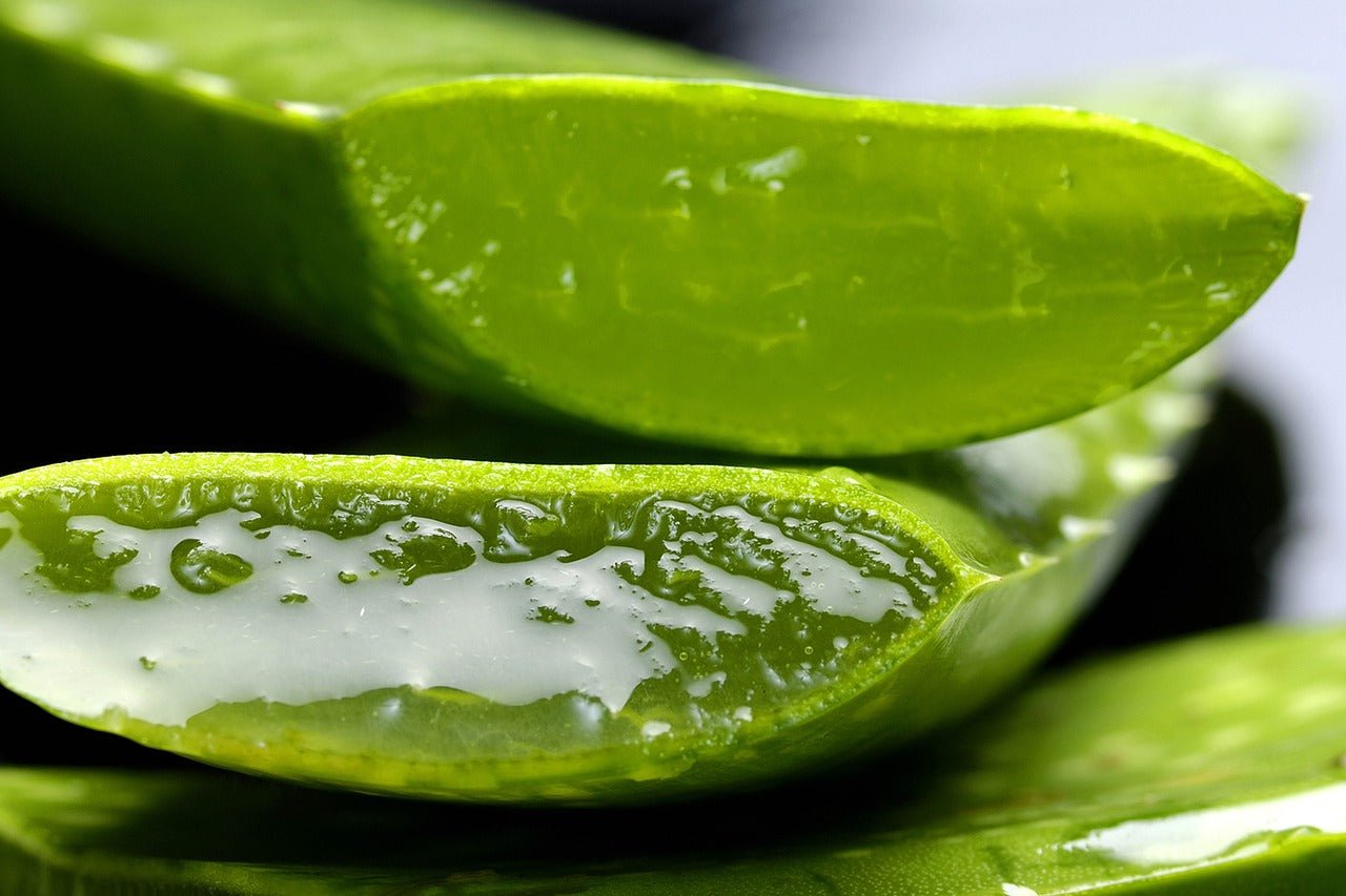ALOE VERA - VELVET GLOW ⎮ Korean Skincare