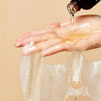 Lactobacillus Ferment