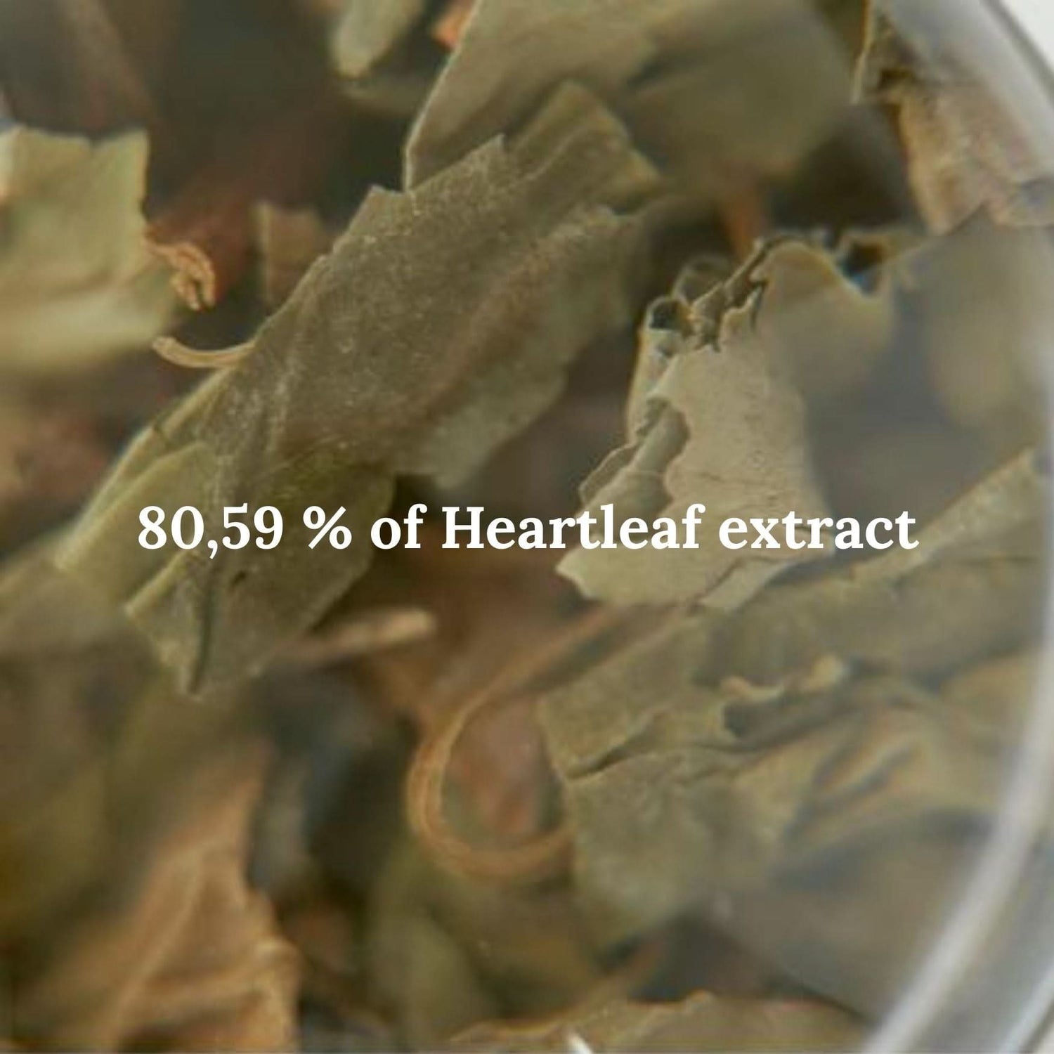 Abib Heartleaf Essence Calming Pump Korean Skincare | VELVET GLOW