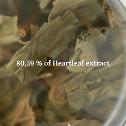 Abib Heartleaf Essence Calming Pump Korean Skincare | VELVET GLOW