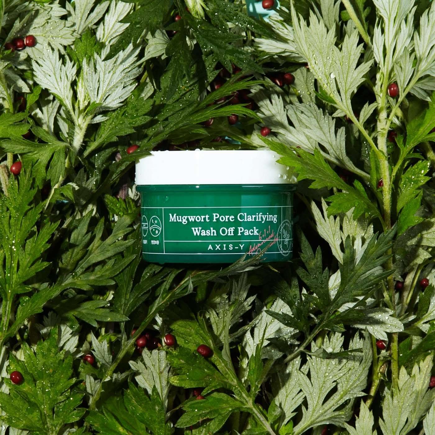 AXIS - Y Mugwort Pore Clarifying Wash Off Pack Korean Skincare | VELVET GLOW