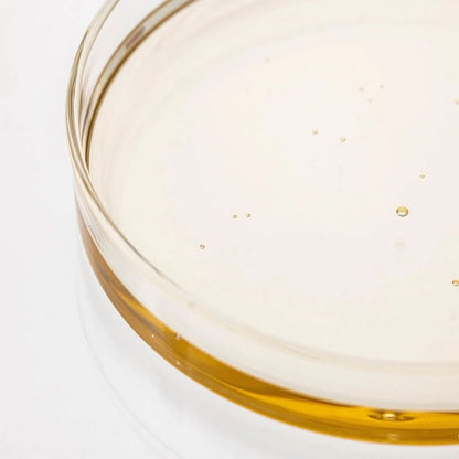 Beauty of Joseon Ginseng Cleansing Oil Korean Skincare | VELVET GLOW