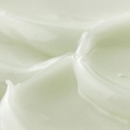 Beauty of Joseon Light On Serum: Centella + Vita C Korean Skincare | VELVET GLOW
