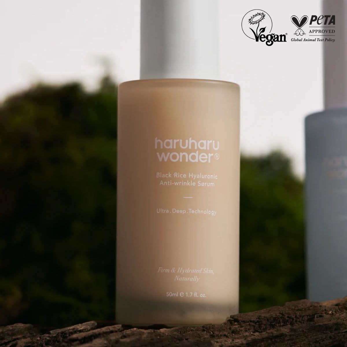 haruharu wonder Black Rice Hyaluronic Anti - Wrinkle Serum Korean Skincare | VELVET GLOW