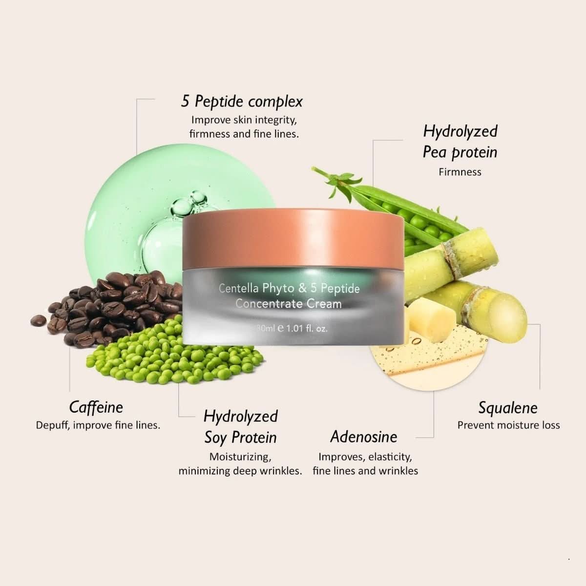 haruharu wonder Centella Phyto &amp; 5 Peptide Concentrate Cream Refill Korean Skincare | VELVET GLOW