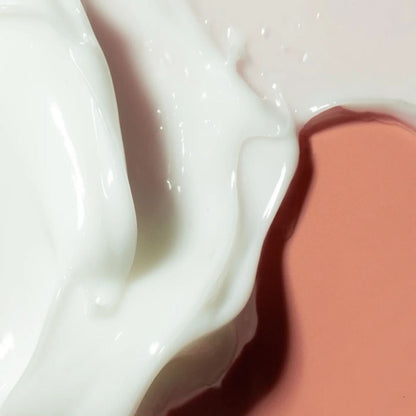 haruharu wonder Centella Phyto &amp; 5 Peptide Concentrate Cream Korean Skincare | VELVET GLOW