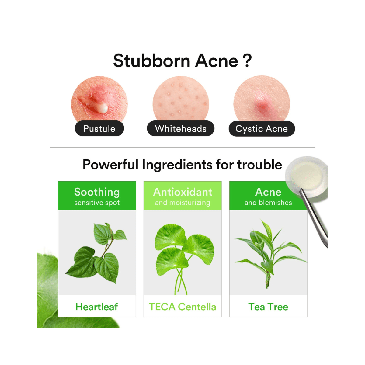 Abib Heartleaf Calming Spot Patch Korean Skincare | VELVET GLOW