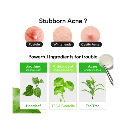 Abib Heartleaf Calming Spot Patch Korean Skincare | VELVET GLOW