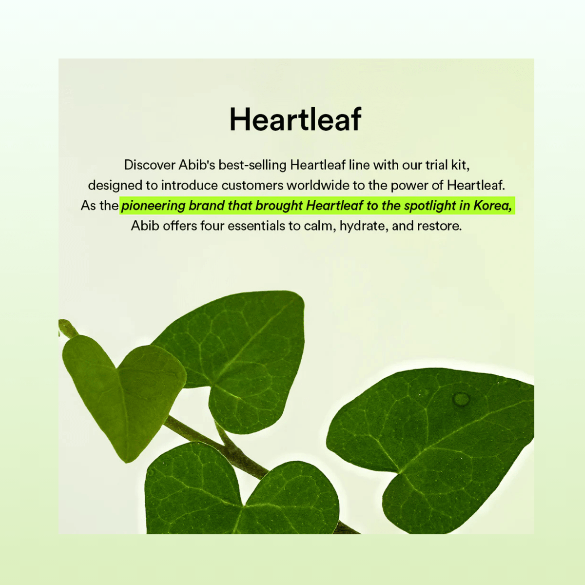 Abib Heartleaf calming Trial Kit Korean Skincare | VELVET GLOW