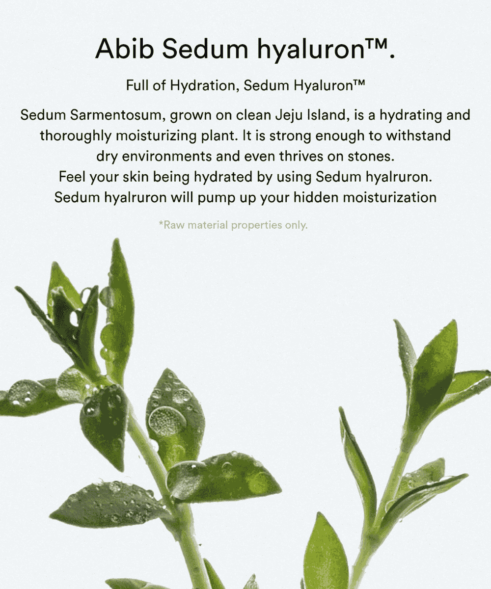 Abib Sedum hyaluron cream Hydrating pot Korean Skincare | VELVET GLOW