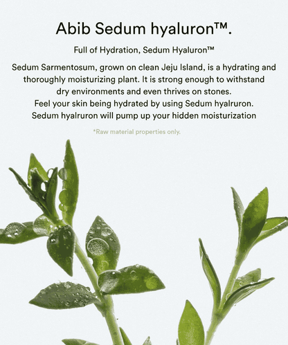 Abib Sedum hyaluron cream Hydrating pot Korean Skincare | VELVET GLOW