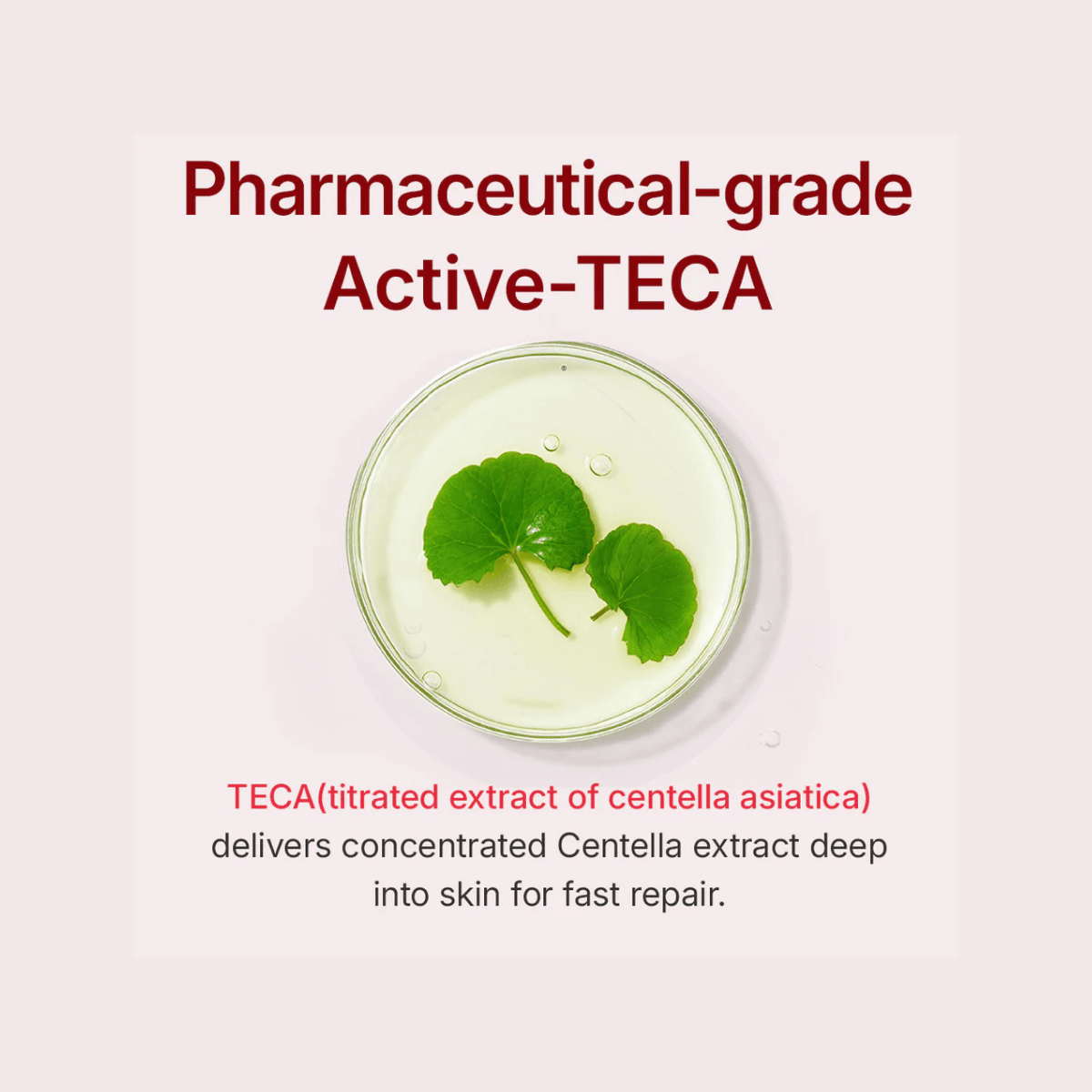 Centellian24 Madeca Cream Time Reverse Korean Skincare | VELVET GLOW