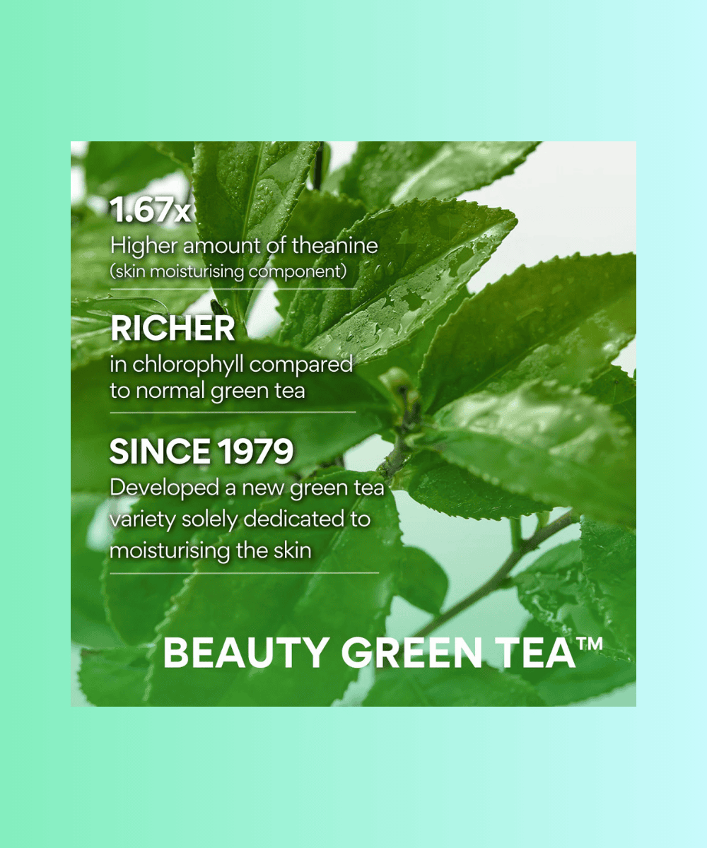 Innisfree Green Tea Amino Hydrating Cleansing Foam Korean Skincare | VELVET GLOW