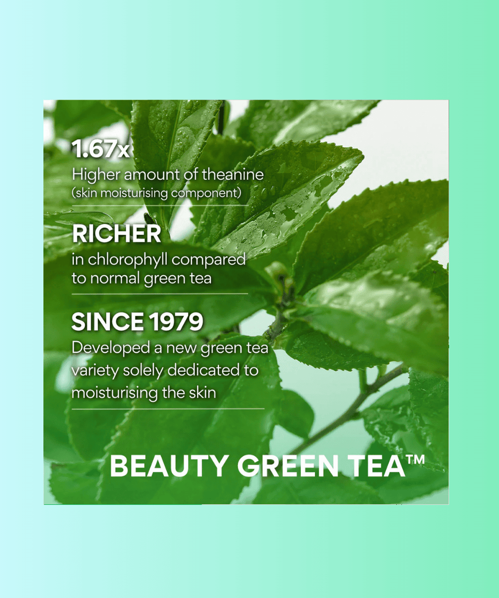 Innisfree Green Tea Hyaluronic Skin Korean Skincare | VELVET GLOW