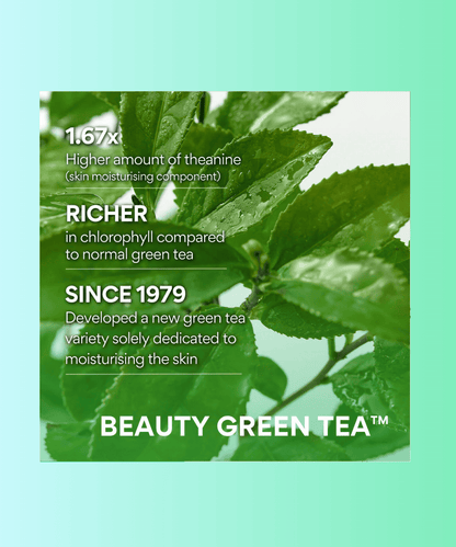 Innisfree Green Tea Hyaluronic Skin Korean Skincare | VELVET GLOW