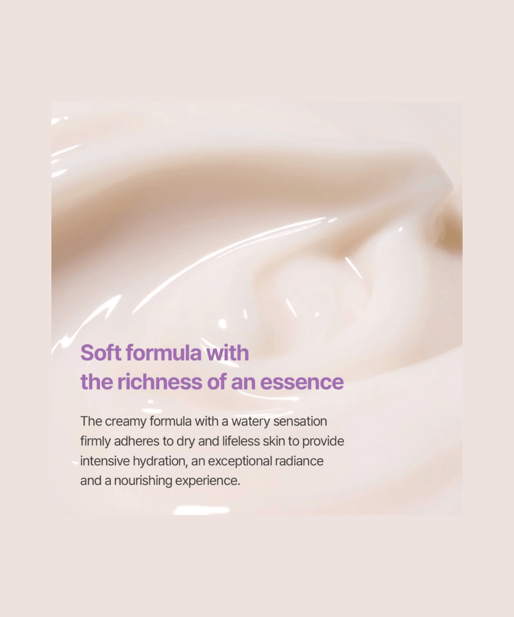 Innisfree Jeju Orchid Enriched Cream Korean Skincare | VELVET GLOW