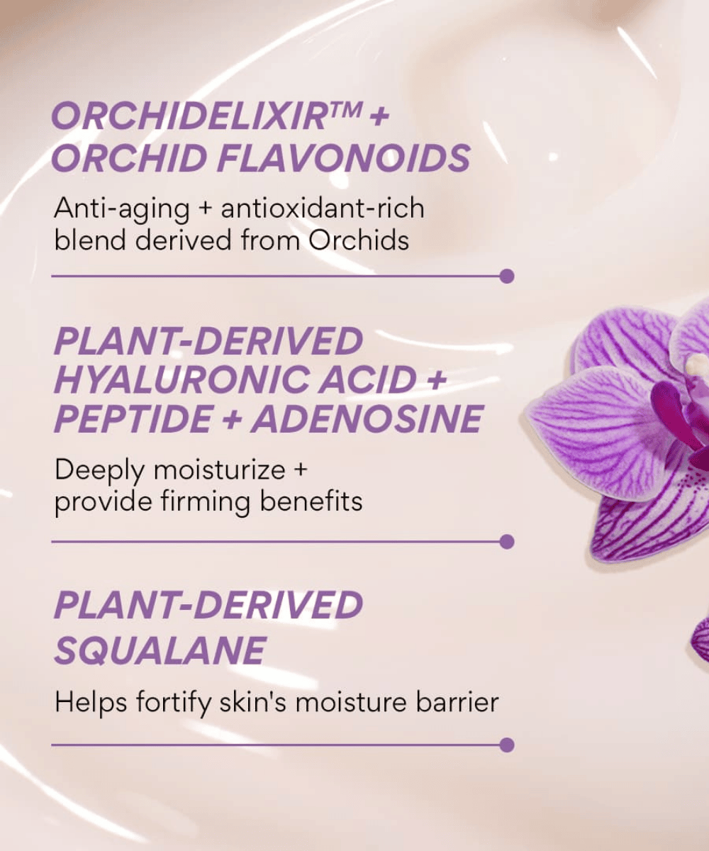 Innisfree Jeju Orchid Enriched Cream Korean Skincare | VELVET GLOW