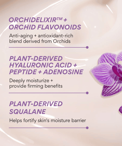 Innisfree Jeju Orchid Enriched Cream Korean Skincare | VELVET GLOW