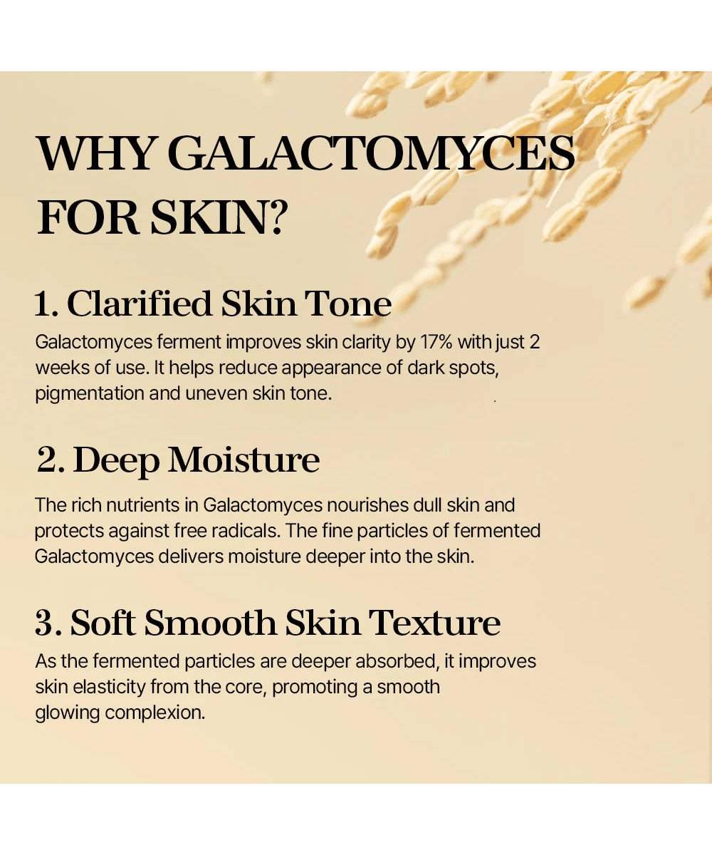 mixsoon Galactomyces Ferment Essence Korean Skincare | VELVET GLOW