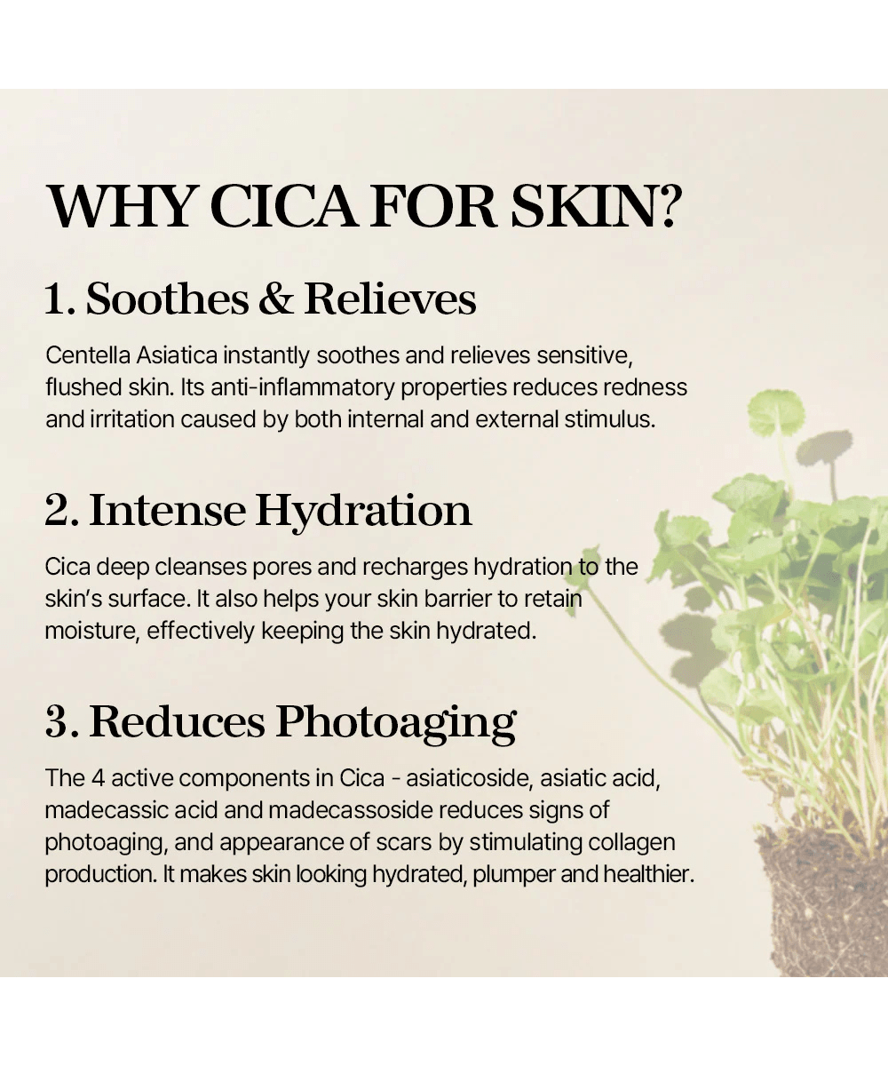 mixsoon Soondy Centella Asiatica Essence Korean Skincare | VELVET GLOW