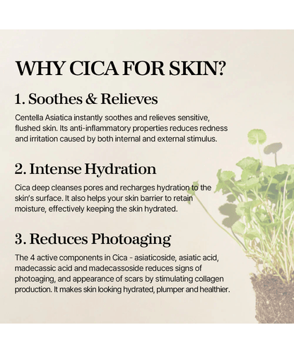 mixsoon Soondy Centella Asiatica Essence Korean Skincare | VELVET GLOW