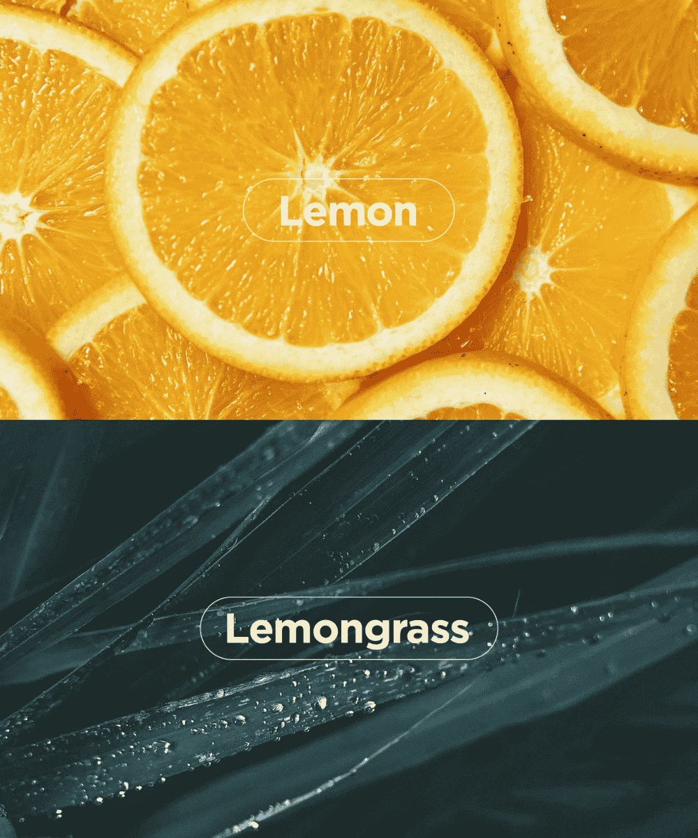 NEOGEN Bio - Peel Gauze Peeling Lemon Korean Skincare | VELVET GLOW
